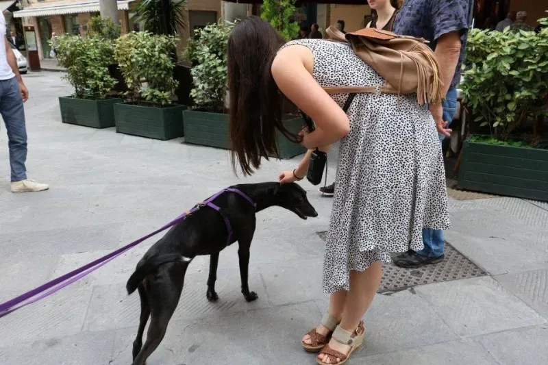 13331131 1040698512680670 4466827046274278422 n