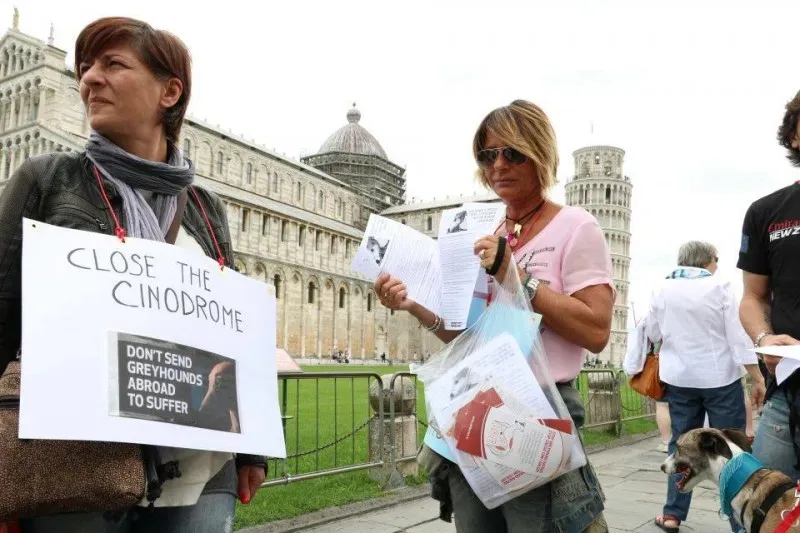 13331157 1040688232681698 8489267870924273472 n