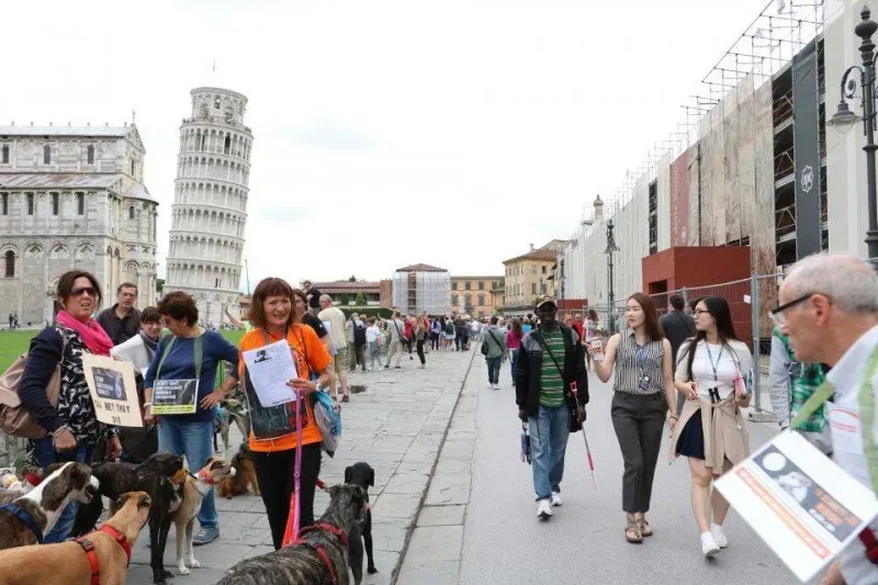 13332781 1040688769348311 7443641229277700141 n