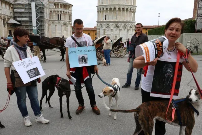 13332797 1040693856014469 252809787884981532 n