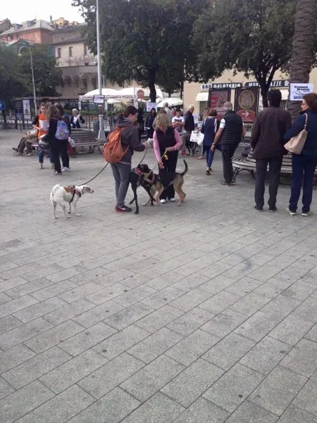 13332835 1038860119531176 5008694904620758631 n 1