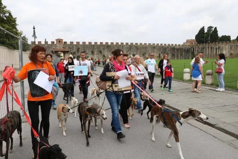 13332893 1040684942682027 2170005236268530859 n