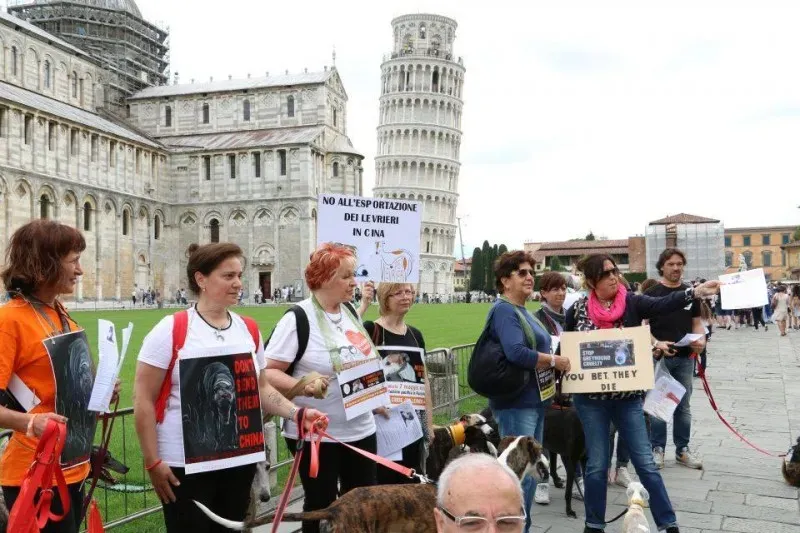 13332908 1040687632681758 4710305118246548950 n