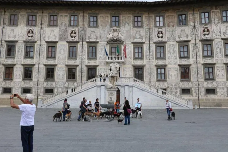 13332938 1040695172681004 422365917116849558 n