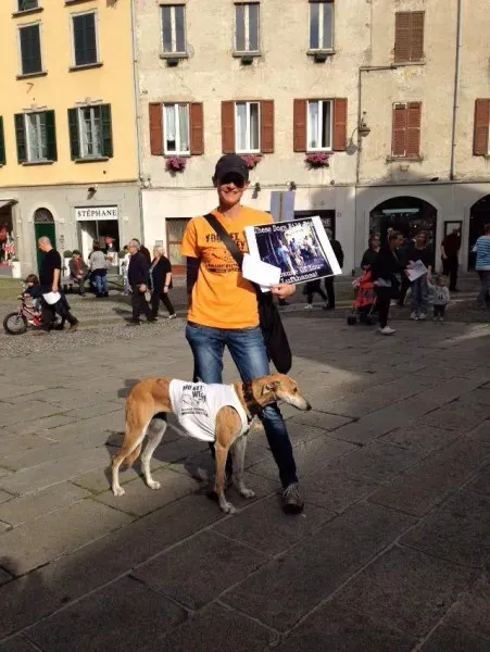 13332947 1038713886212466 1883135210583190790 n