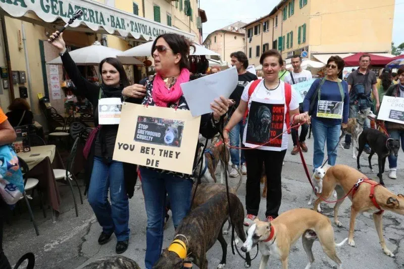 13333011 1040684339348754 3466676799669341666 n