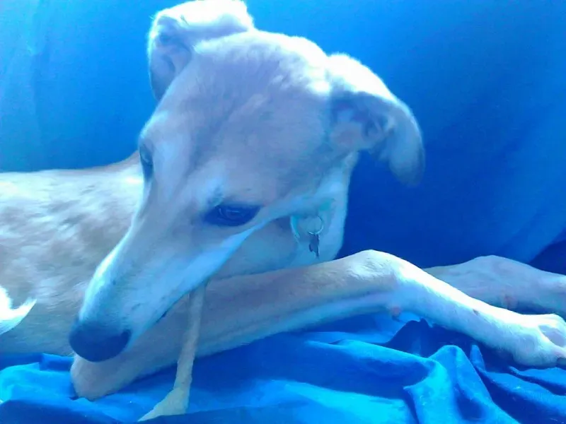 13334398 1121204881233225 104545425 o 1