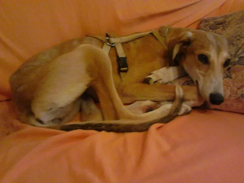 13334423 1121204671233246 498298562 o