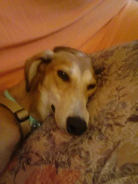 13334759 1121204631233250 1214936382 o