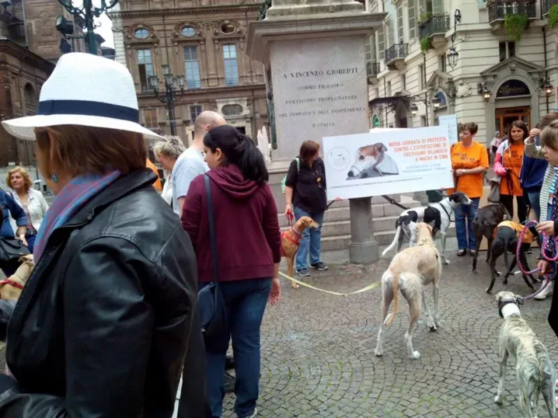 13335527 1038708969546291 8299996790742498055 n 1