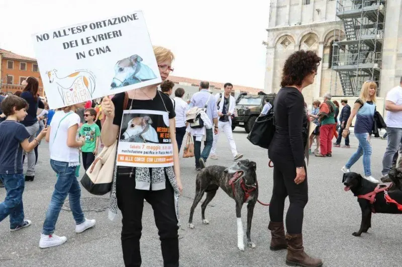 13335589 1040699576013897 6359257574394382313 n