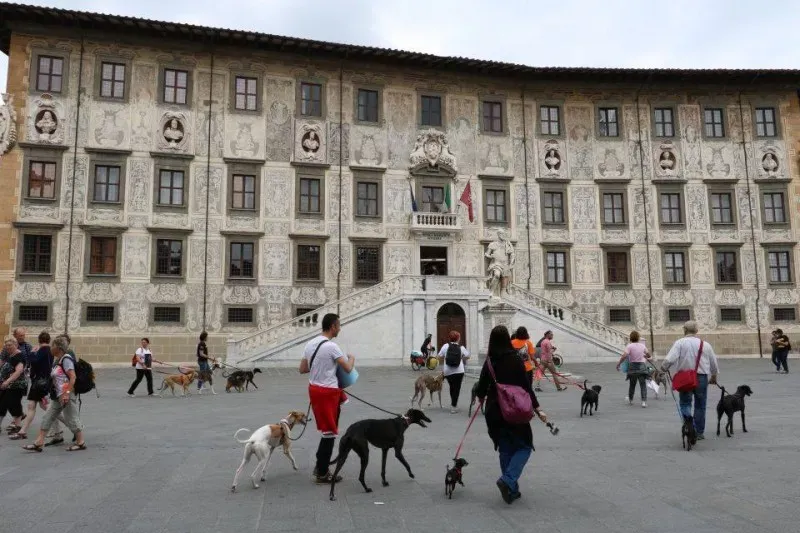 13335595 1040695099347678 2092789927315547445 n