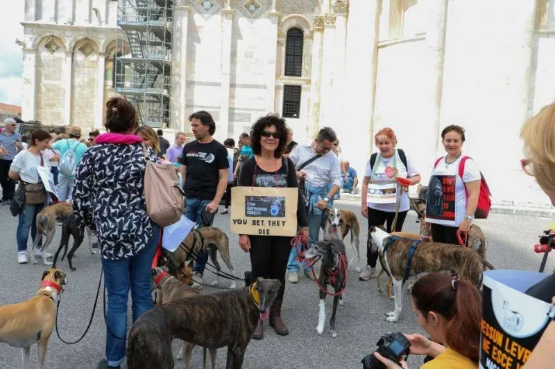 13335644 1040699459347242 9086269182646078320 n