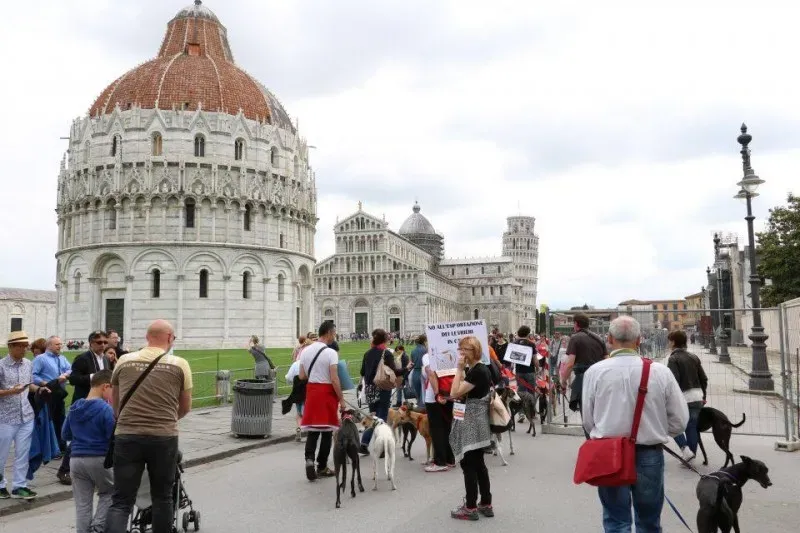 13335648 1040684696015385 6426704603116738012 n