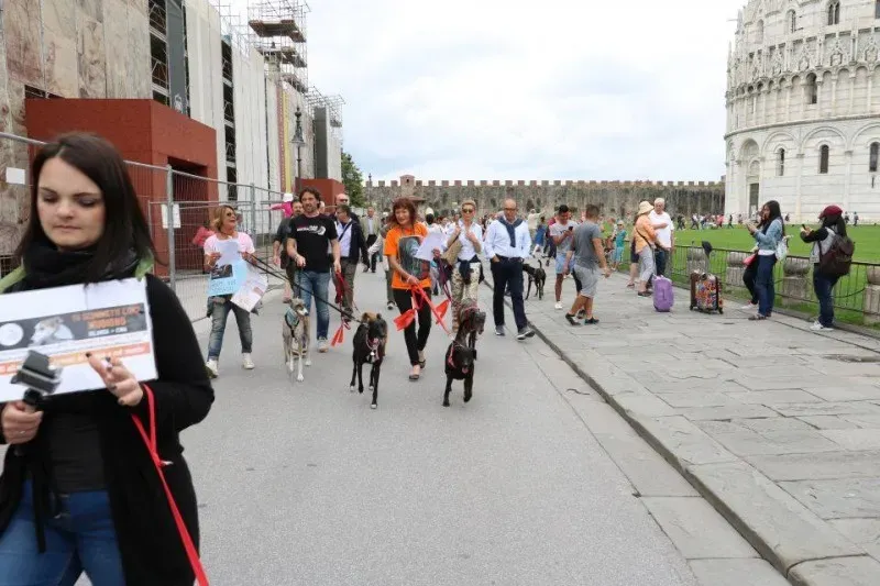 13335656 1040689422681579 7150028805862050079 n