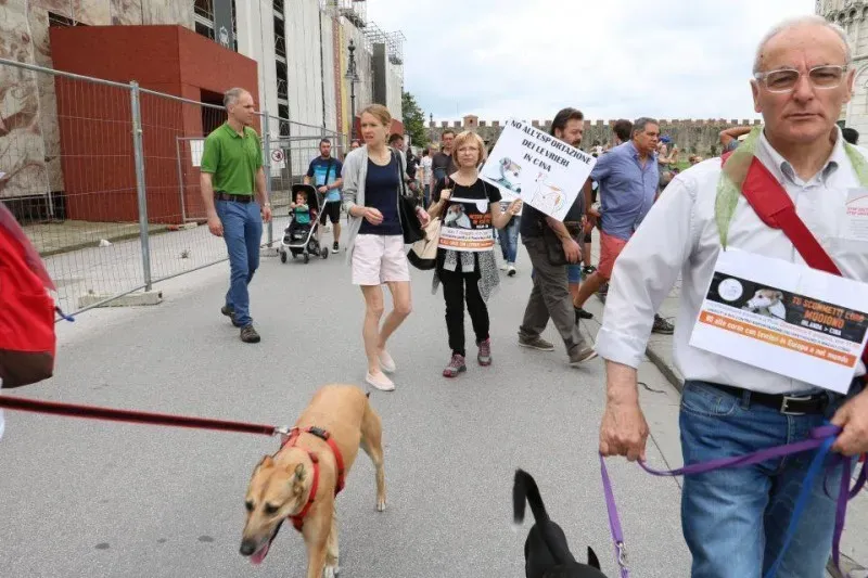 13335674 1040689819348206 3448585458732941581 n