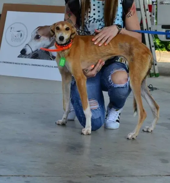 13335705 1036344983116023 6716880911194630055 n