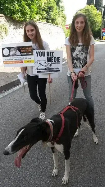 13335734 1040352866048568 4306833317140734742 n