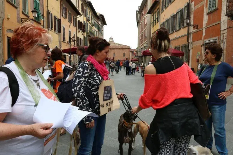 13335827 1040694152681106 4607254667692495623 n