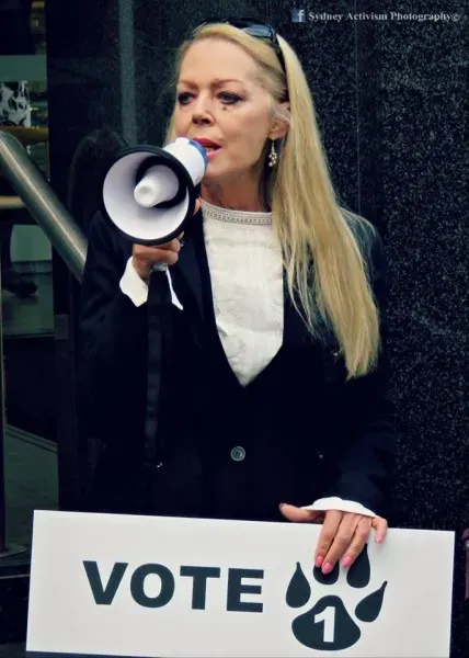 13335883 1781624195457346 5089766434411708968 n