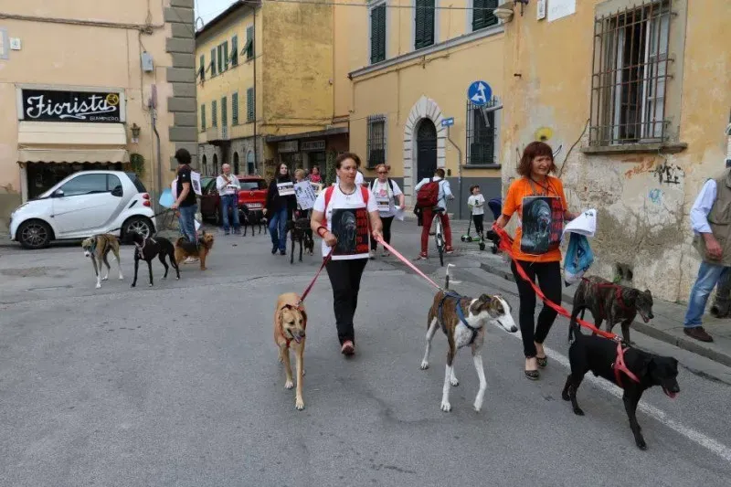 13335902 1040694932681028 5443810219010747329 n