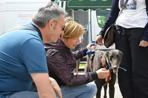 13335929 1037149729702215 1782596228848747651 n