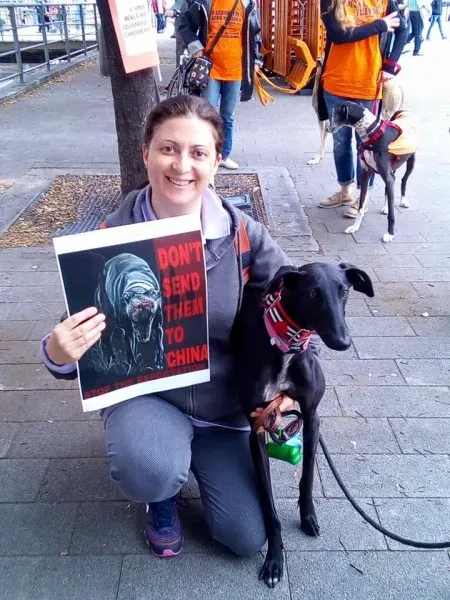 13335941 1038860279531160 964331868086627435 n 1