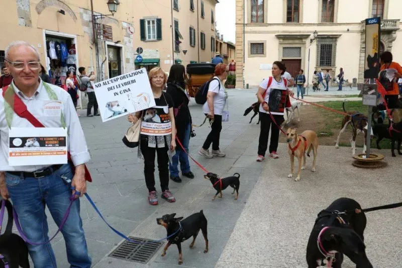 13335962 1040694746014380 6342592276932871042 n