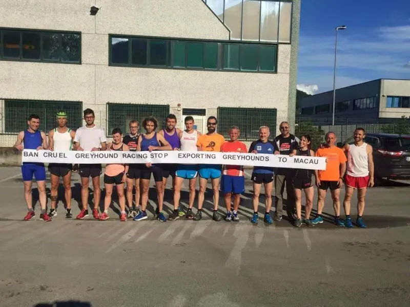 13336010 1038708249546363 7971619242411799894 n 1