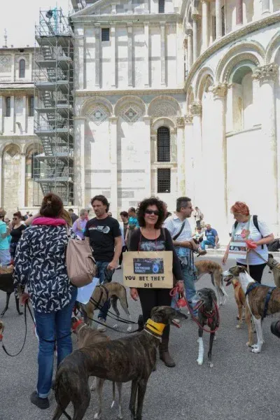 13336010 1040699426013912 7386311156111203370 n