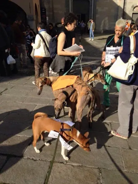 13336012 1038713672879154 1504223170631147344 n