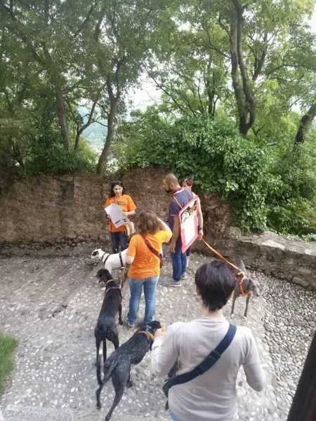 13336046 1040353596048495 7411063827838578879 n