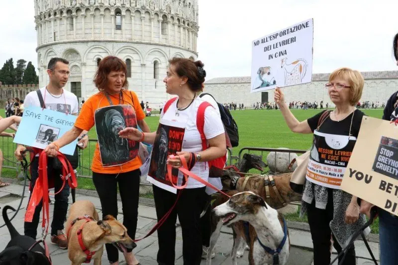 13336047 1040688272681694 6834026947443083467 n