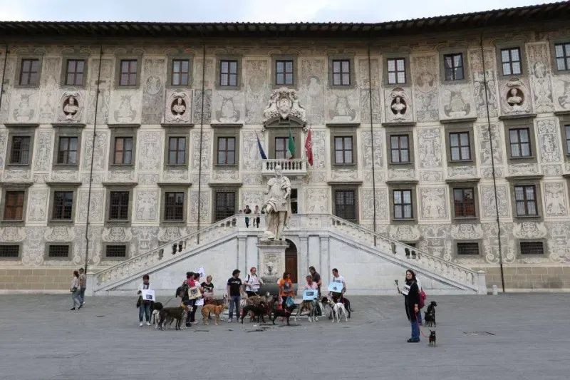 13336052 1040695196014335 3508307545426080678 n