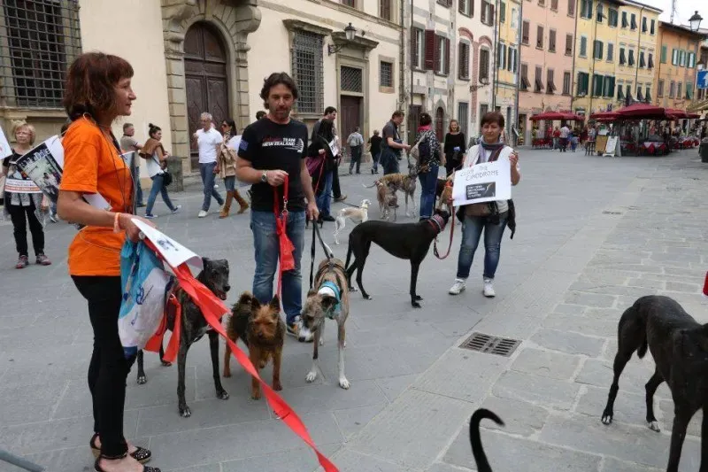 13336087 1040694459347742 8230324978492796294 n