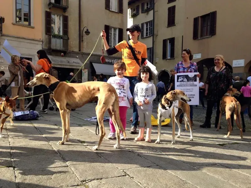 13336093 1038714039545784 5142353528789672673 n