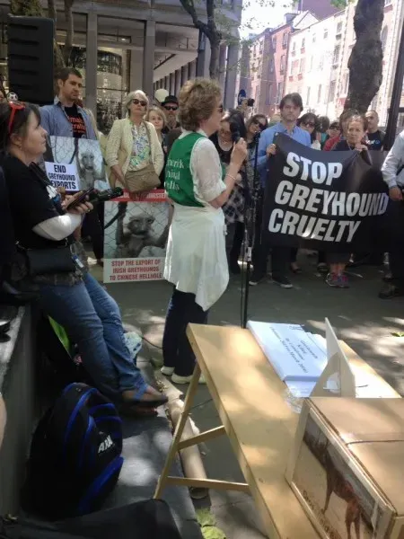 13336122 1249652051719158 1704233354559631708 n