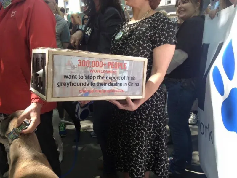 13336138 1038288316255023 5310742499298635070 n