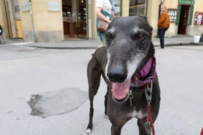 13336150 1040693729347815 3793007936166090926 n