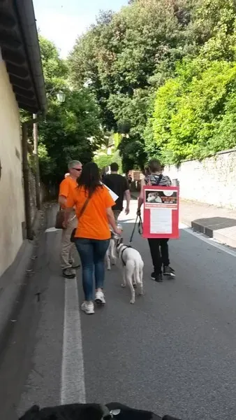 13339450 1040352849381903 5654102224515605051 n