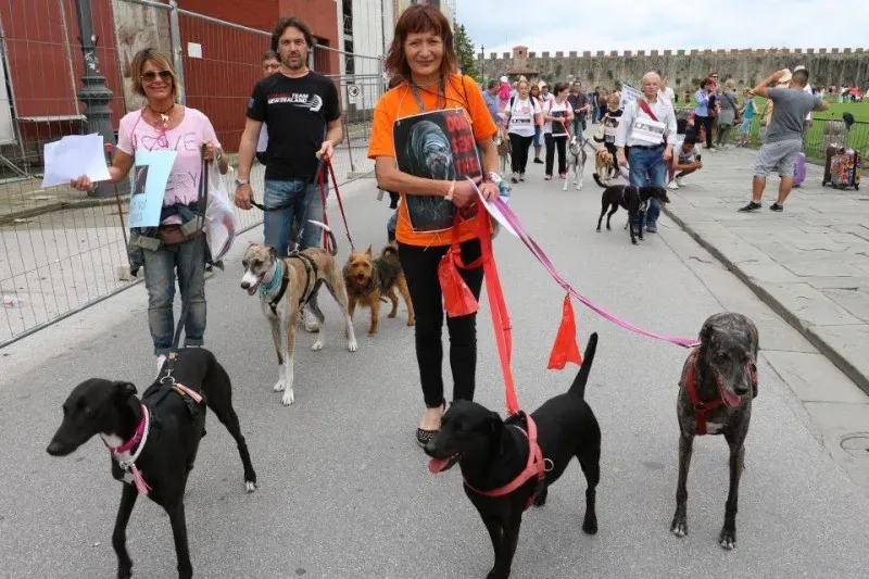 13339485 1040689562681565 1118796724239062247 n