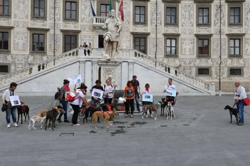 13339497 1040695302680991 364765819011848353 n