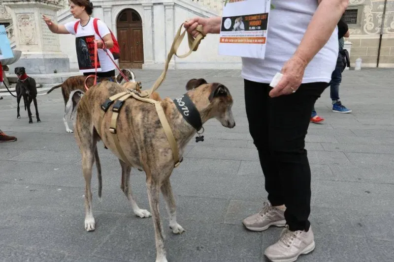 13339541 1040697852680736 8830709882157024256 n