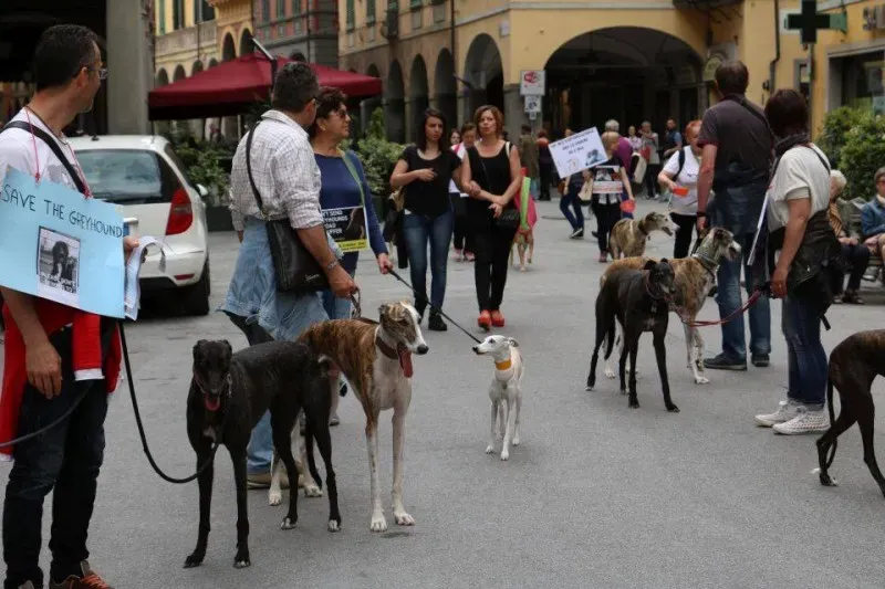 13339550 1040698616013993 283899256503812633 n