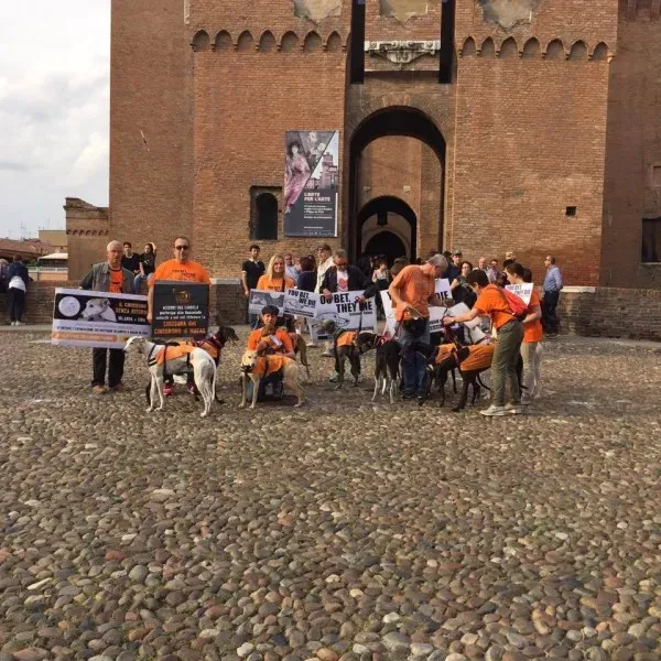 13339557 1038850816198773 8036015069509098434 n 1