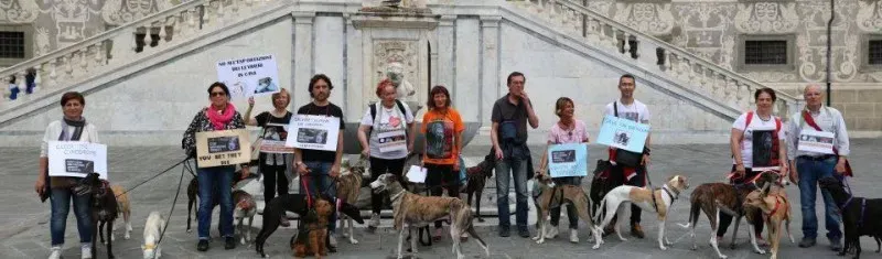 13339557 1040699689347219 1065903148929831936 n