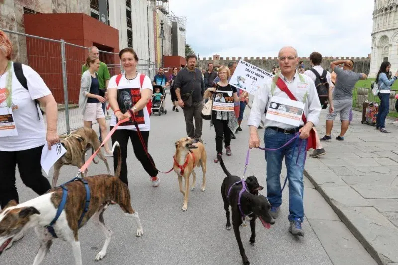 13339621 1040689689348219 3063381196483171186 n