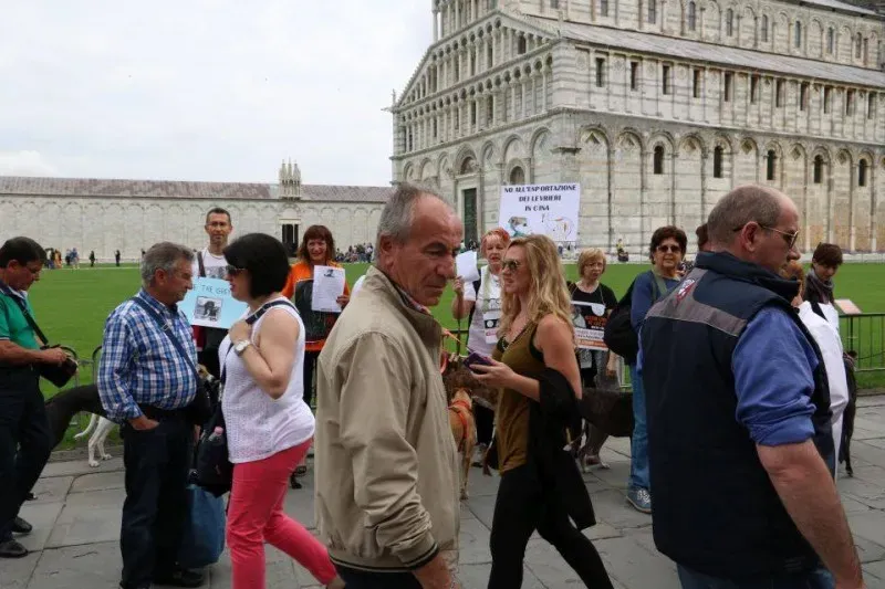 13339675 1040686619348526 7196968365496416377 n