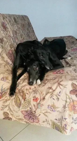 13339735 1037149756368879 2401518477464188425 n