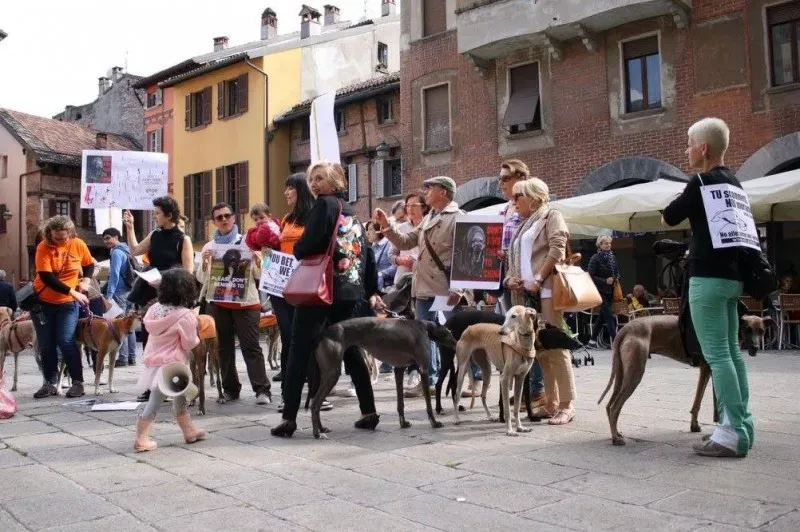 13340042 1038711672879354 8269193826625686409 o